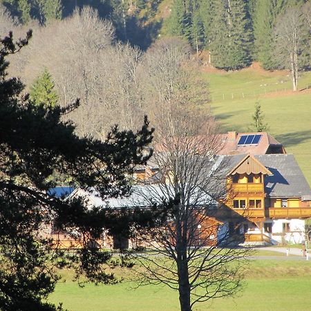 Obergrabnerhof Διαμέρισμα Ramsau am Dachstein Εξωτερικό φωτογραφία
